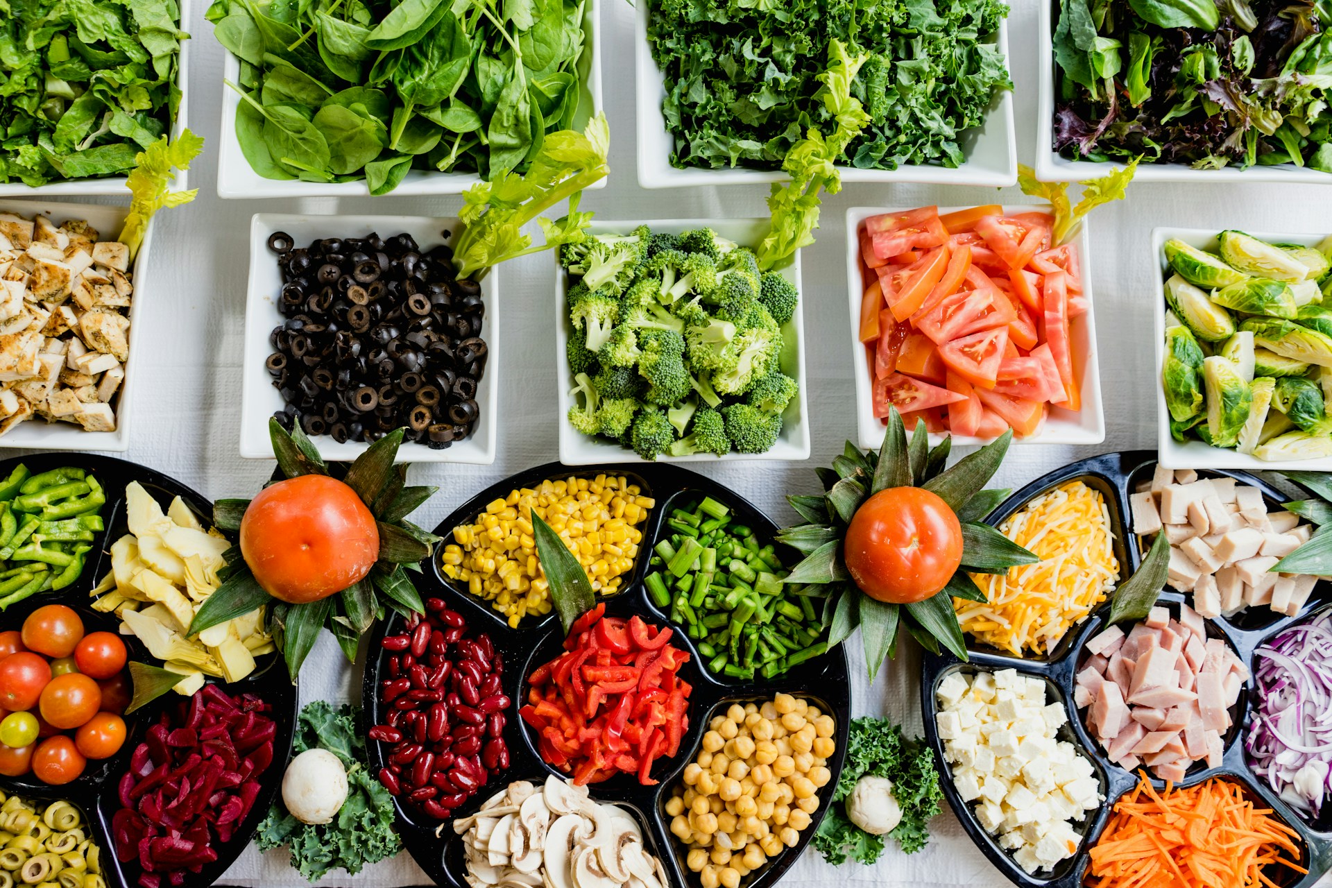 Diet Program Based on Individual Genetics: A Comprehensive and Specialized Approach