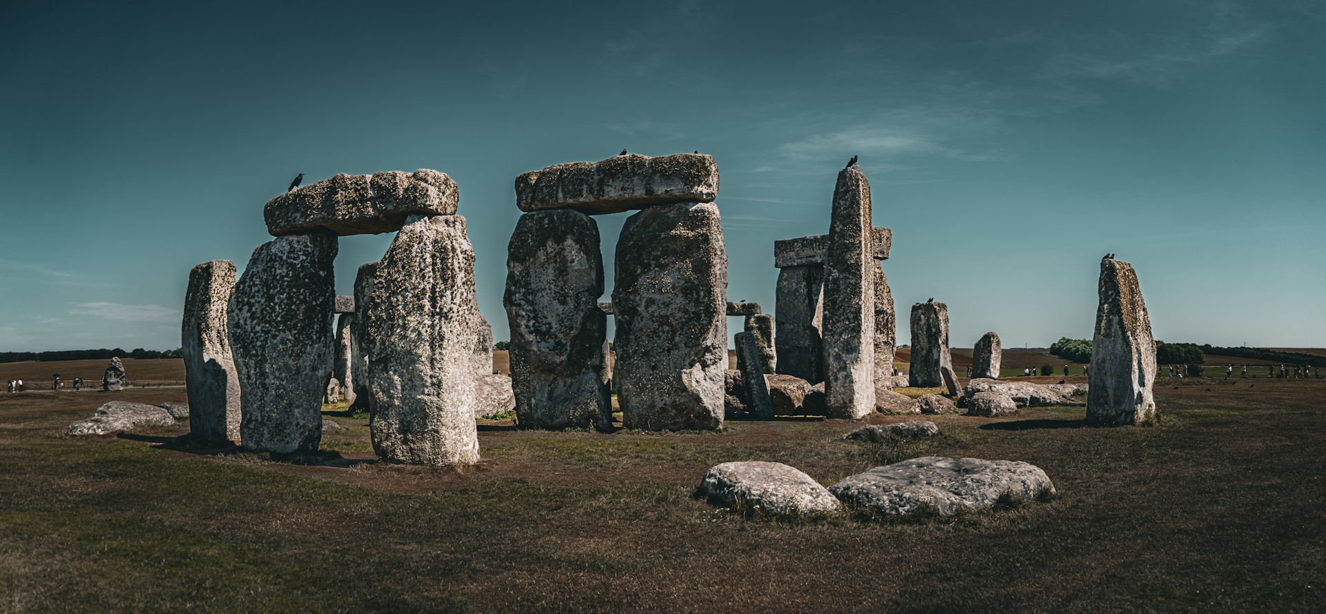 The New Civilization of Harmogenics: A Global Roadmap for Co-Creating a Harmonious Future of Life